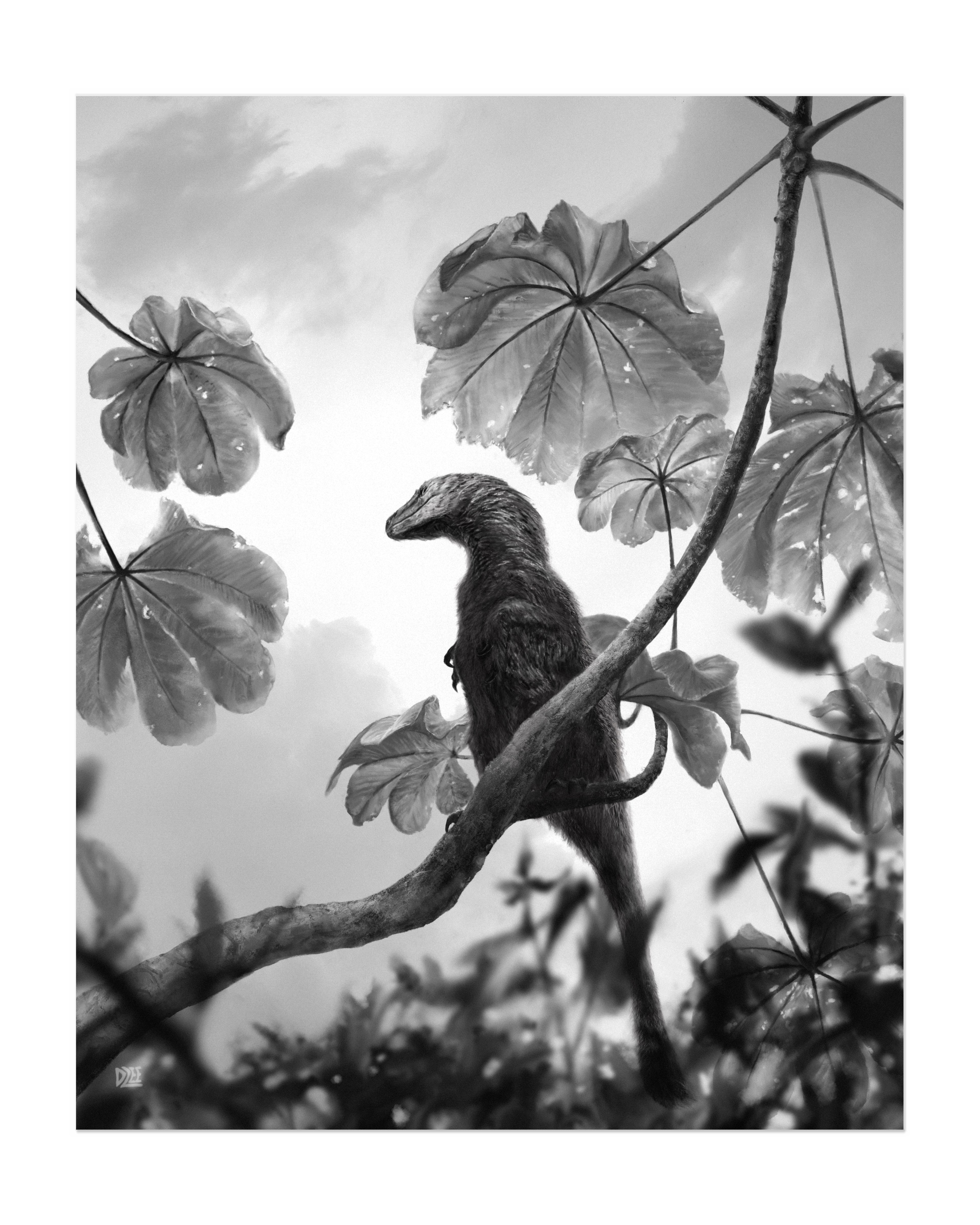 Umbrella House Poster