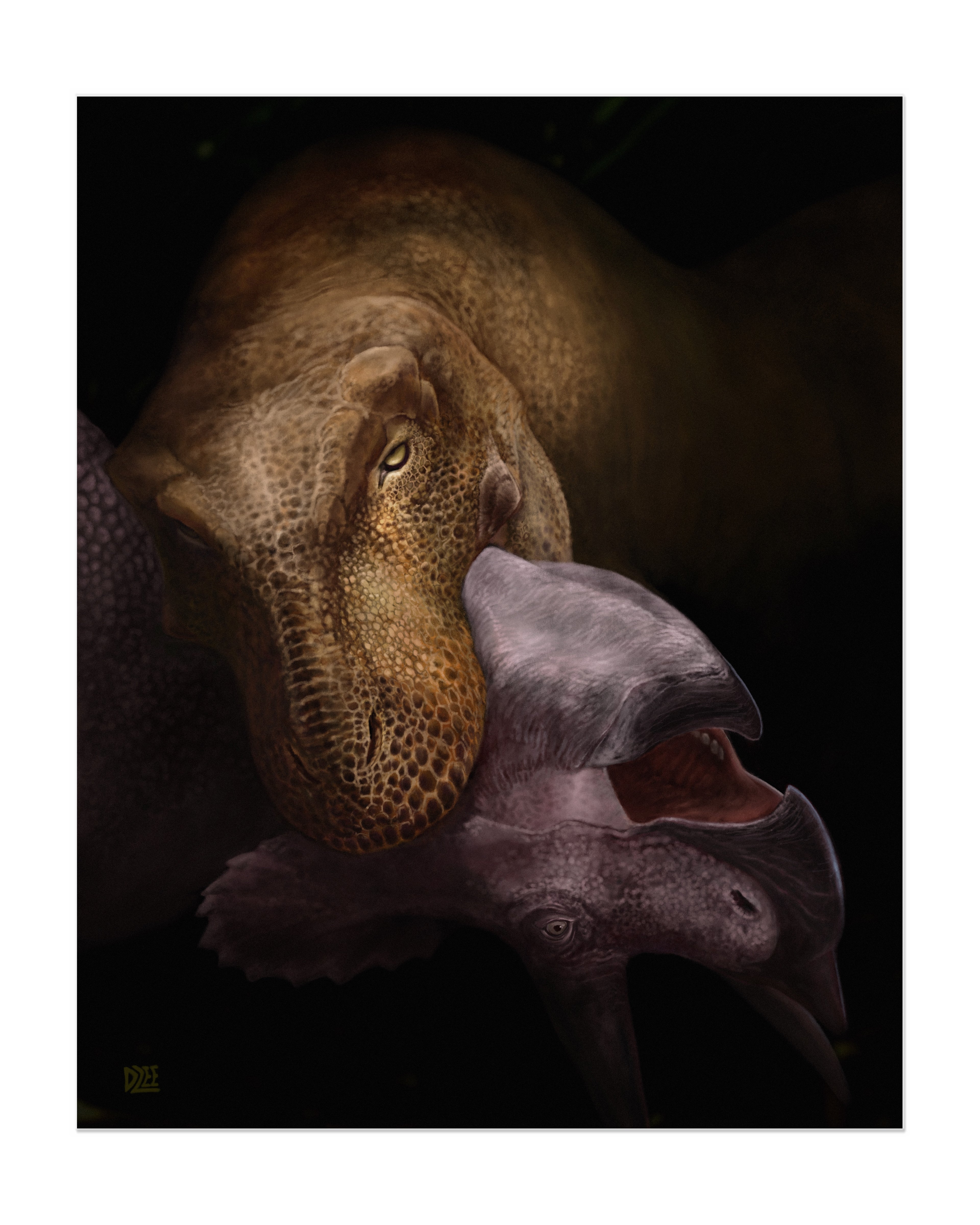 Life and Death Poster